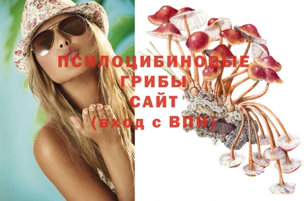 a pvp Абдулино