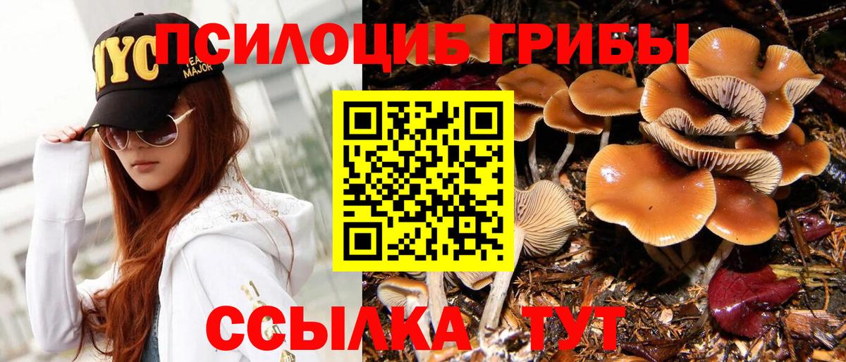 Урюпинск  Псилоцибиновые грибы MAGIC MUSHROOMS  Вход с VPN 